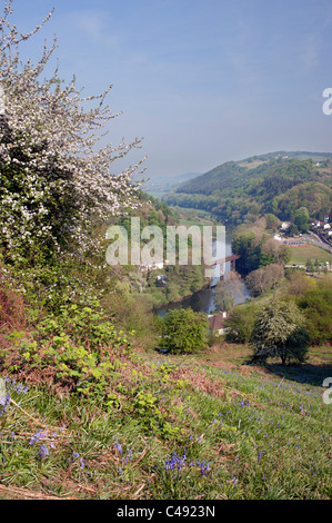 Das Wye Valley und River Wye gesehen vom Hang oberhalb Redbrook, Blick nach Norden in Richtung Monmouth mit ehemaligen Eisenbahnbrücke. Stockfoto