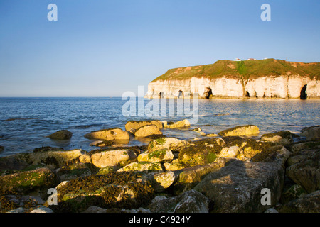 Felsen in Abend Sonnenlicht Thornwick Bay Flamborough Head East Yorkshire England Reiten Stockfoto