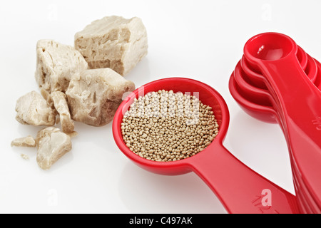 Frische Hefe und einen Teelöffel Trockenhefe Stockfoto