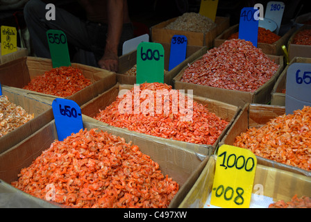 Getrocknete Garnelen und Krabben, Markt Chinatown Bangkok Thailand Stockfoto