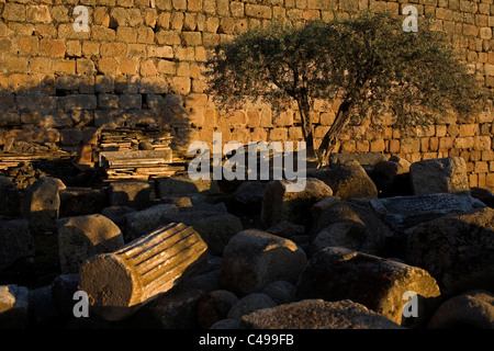 Eine Spalte legt unter den Ruinen der islamischen Festung Alcazaba in Merida, namens, Badajoz Provinz, Region Extremadura, Spanien Stockfoto