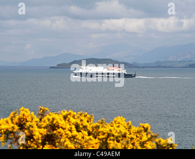 Die Oban Fähre MV Isle of Mull in der Sound of Mull, für die Cragnure terminal. SCO 7123 Stockfoto