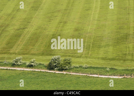 Blick auf Ackerland und einen Feldweg von hoch oben auf Cissbury Ring im South Downs National Park. Stockfoto