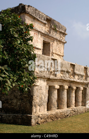 Tempel der Fresken an den Maya-Ruinen von Tulum an der Riviera Maya, Quintana Roo, Mexiko Stockfoto
