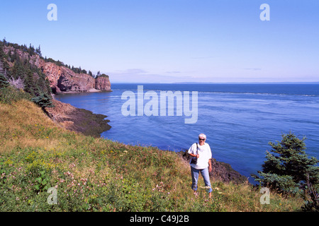 Cape d ' or, Nova Scotia, Kanada - zerklüftete Küste entlang der Bucht von Fundy mit Blick auf Minas Basin und Basalt Landzungen mit Sea Caves Stockfoto