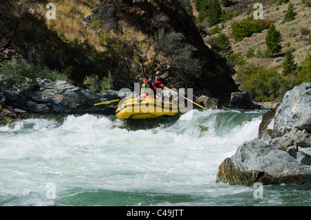 Sparren Tappan fällt auf den Middle Fork der Salmon River-ID ausgeführt Stockfoto