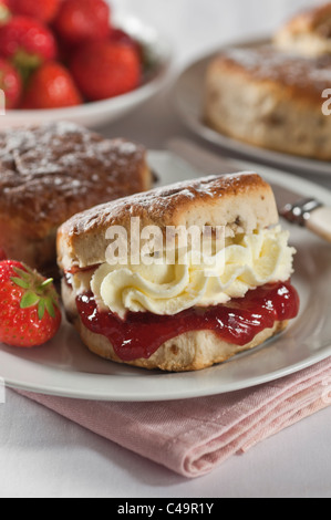 Traditionelle englische Scones mit Erdbeer-Marmelade und Sahne Stockfoto