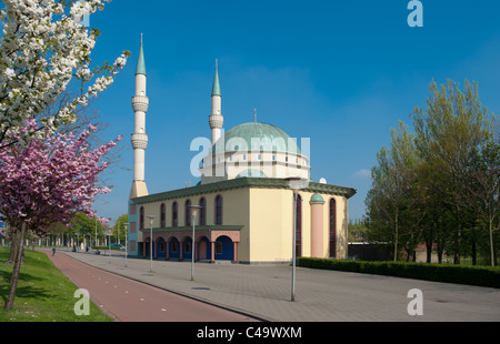 Mevlana-Moschee in Rotterdam befindet sich in Spangen, ein Stadtteil mit über 80 Prozent Zuwanderer Stockfoto