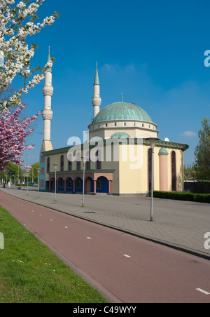 Mevlana-Moschee in Rotterdam befindet sich in Spangen, ein Stadtteil mit über 80 Prozent Zuwanderer Stockfoto