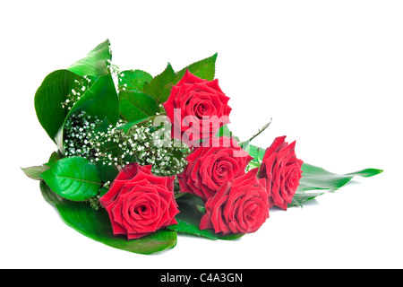Strauß roter Rosen isoliert auf weißem Hintergrund. Stockfoto