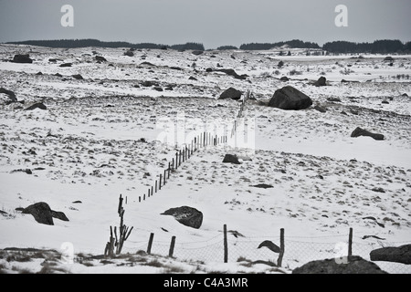 Weide mit Schnee bedeckt. Rogaland, Norwegen Stockfoto