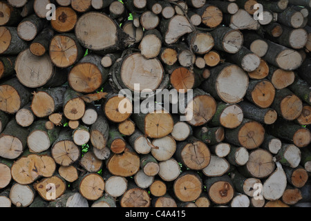 Holzstapel Stockfoto