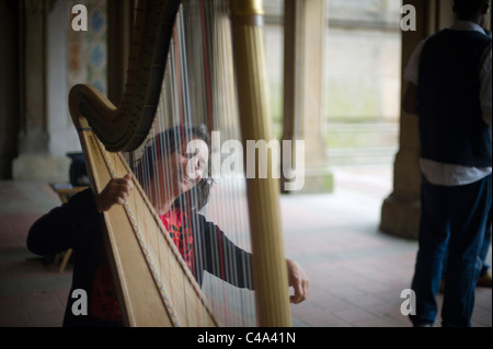 Harfenistin spielt auf Bethesda Terrasse im Central Park in New York Stockfoto