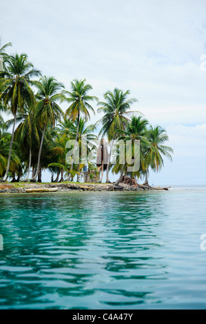 Blick auf eine Insel voller Palmen auf den San Blas Inseln, ein Archipel vor der Küste von Panama Stockfoto