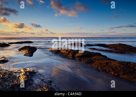 Die Felsen ausgesetzt bei Ebbe am Westward Ho!, Devon, England. Stockfoto