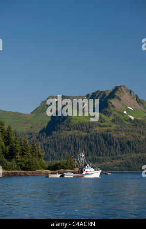 Prince William Sound, Alaska. Boote, Angeln auf Lachs in der Nähe von Chenega. Stockfoto