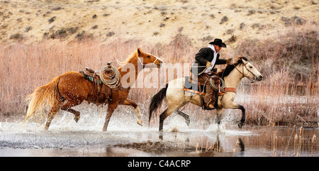 Cowboy Reiter und Pferd durch Wasser Stockfoto