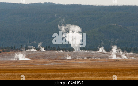 Eine ferne Landschaft Aufnahme des Nahen Geyser Basin Bereich der Yellowstone-Nationalpark, Wyoming, USA. Stockfoto