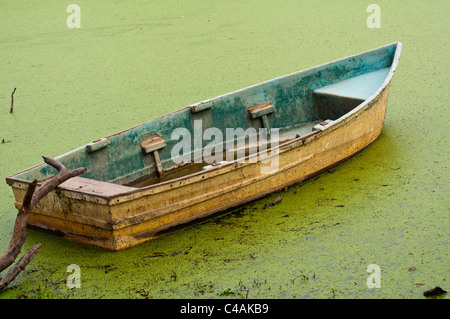 schwimmend auf Algen altes rustikales Ruderboot am See in Indien Stockfoto