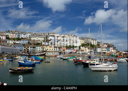 Brixham Hafen Devon England uk Stockfoto