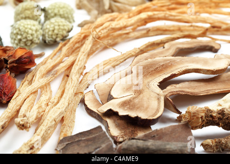 Traditionelle chinesische Medizin auf weißem Hintergrund. Stockfoto