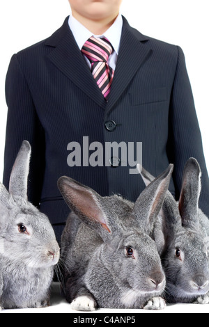 Bild von drei graue Kaninchen mit jungen im Anzug auf Hintergrund Stockfoto