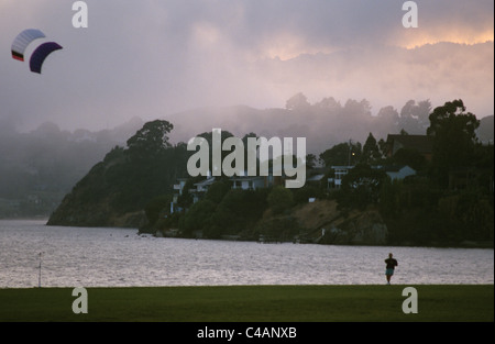 Tiburon Kalifornien Mann fliegt Kite auf Richardson Bay bei selten Weide wie Nebel Abend rollt.  © Bob Kreisel Stockfoto
