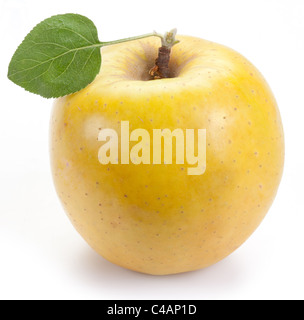 Reifer gelber Apfel mit einem Blatt. Isoliert auf weißem Hintergrund. Stockfoto