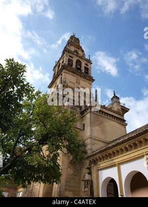 Der Glockenturm am Eingang der Mezquita in Córdoba, Spanien. Stockfoto