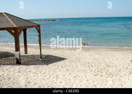 Tel Aviv ist eine Beta + Weltstadt, neben Städten wie Barcelona und San Francisco. [9] bekannt als "Die Stadt, die niemals schläft", Stockfoto