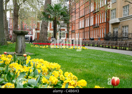 Mount Street Gardens (aka St. George Gardens) in Mayfair, London, UK Stockfoto