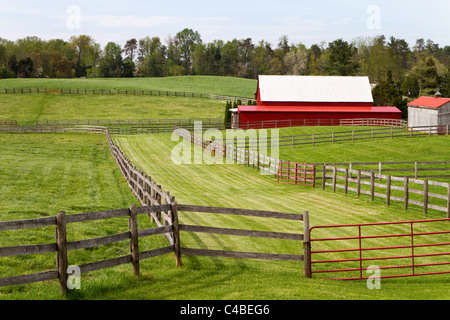 Eingezäunten grüne Weiden mit einer roten Scheune in einer ländlichen Landschaft Einstellung Einfassung von Bäumen. Stockfoto