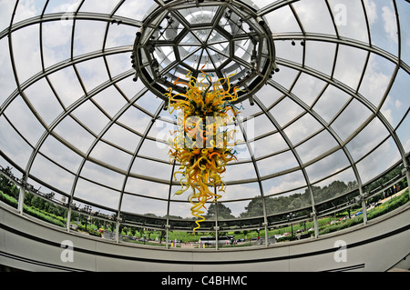 Glasskulpturen von Dale Chihuly hängen in Phipps Conservatory, Pittsburgh, Pennsylvania, USA Stockfoto