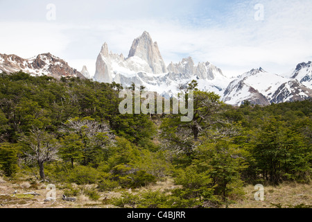 Fitz-Roy-massiv, Parque Nacional Los Glaciares, Patagonien, Argentinien Stockfoto