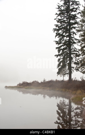 Morgennebel am Rande von Seeley Lake Montana. Stockfoto