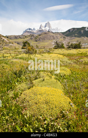 Fitz-Roy-massiv, Parque Nacional Los Glaciares, Patagonien, Argentinien Stockfoto