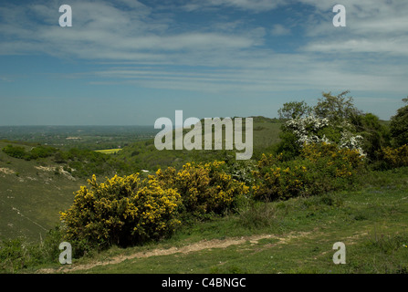 Blick auf des Teufels Deich aus der South Downs Way in der Nähe von Sommer Down, West Sussex. Stockfoto