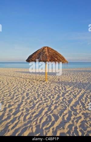 Solo Palapa auf einen weißen Sandstrand in der Karibik vor der Ankunft der Touristen Stockfoto