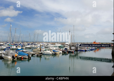 Brixham Marina Devon England uk Stockfoto