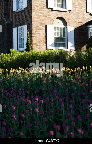 Mai 2011. Bilder vom nationalen Tulip Festival in Ottawa Ontario Kanada. Stockfoto