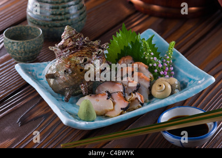 Sashimi von Sazae Stockfoto