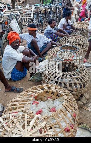 Indien - Hühner Orissa - Dhuruba Stamm Markt - zu verkaufen Stockfoto