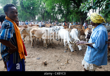 Indien - Orissa - Dhuruba Stamm-Markt Stockfoto