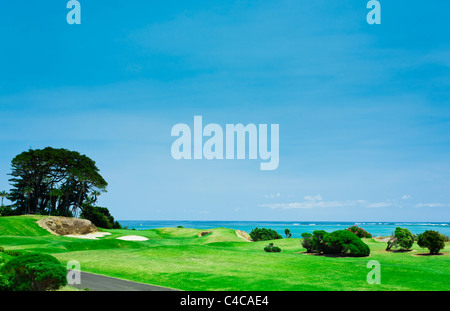 Golfplatz an der Küste von Lord Howe Island Stockfoto