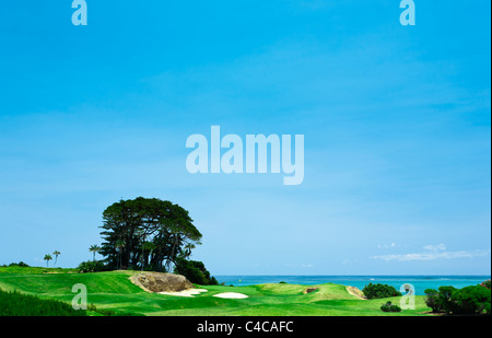 Golfplatz an der Küste von Lord Howe Island Stockfoto