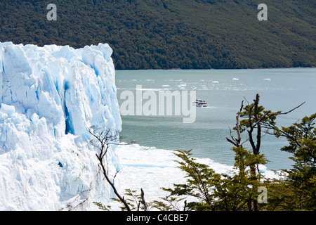 Glaciar Perito Moreno, Patagonien Argentinien Stockfoto