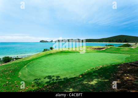 Golfplatz an der Küste von Lord Howe Island Stockfoto