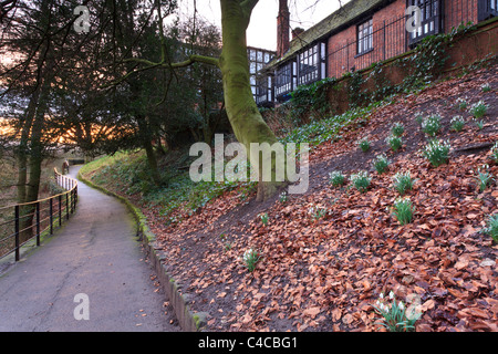 Am frühen Morgen über Bramall Hall in Bramhall, Cheshire UK Stockfoto