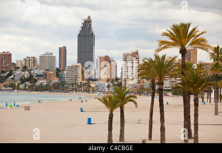 Ein Blick auf die Beash in der Poniente Gegend von Benidorm, Spanien mit Palmen säumen die Promenade. Stockfoto