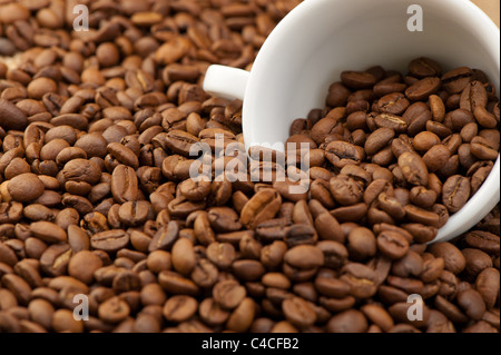 Weiße Tasse mit Kaffeekörner. Ein Foto close up Stockfoto